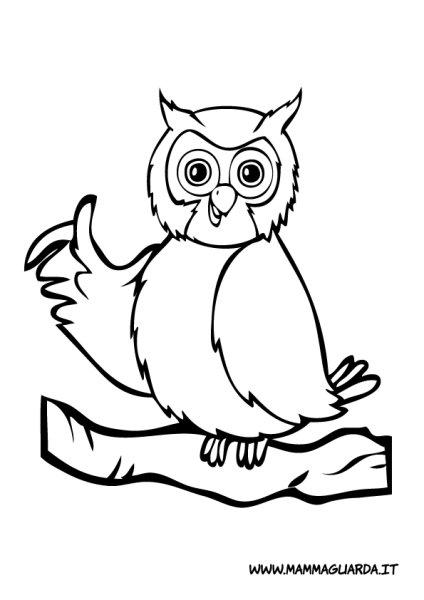 Сова раскраска