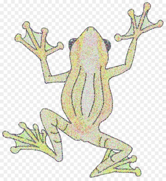 Следы лягушки