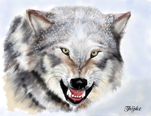 Оскал волка эскиз