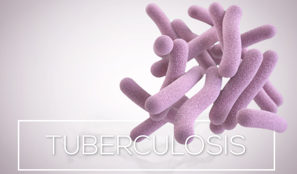 Mycobacterium globiforme