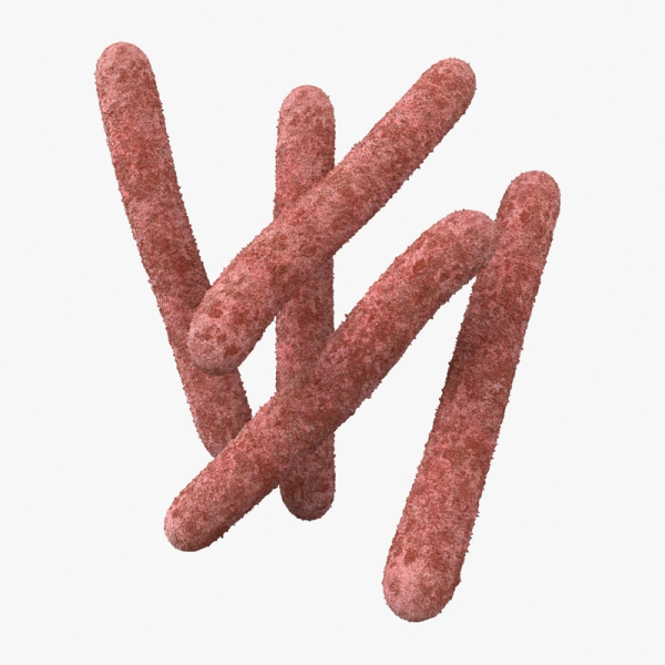 Туберкулезная палочка палочка Коха