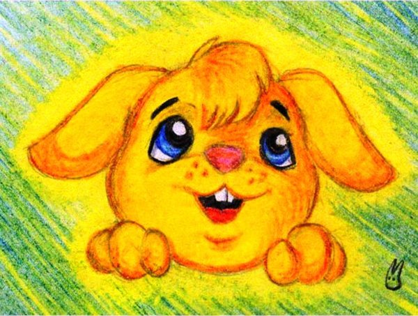 Праздник солнечных зайчиков