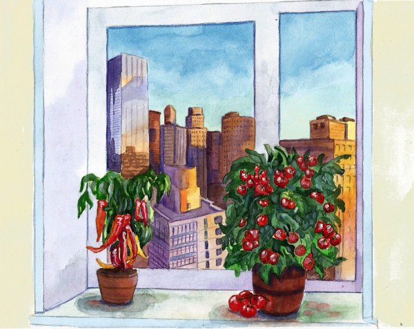 Огород на подоконнике рисование