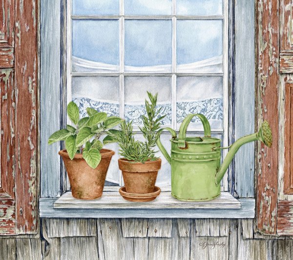 Цветы на подоконнике рисунок