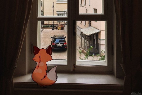 Лисенок у окна