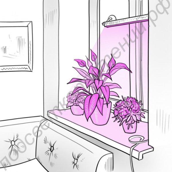 Лампа для растений на подоконнике