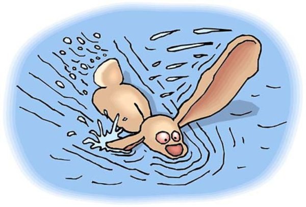 Плавание иллюстрация