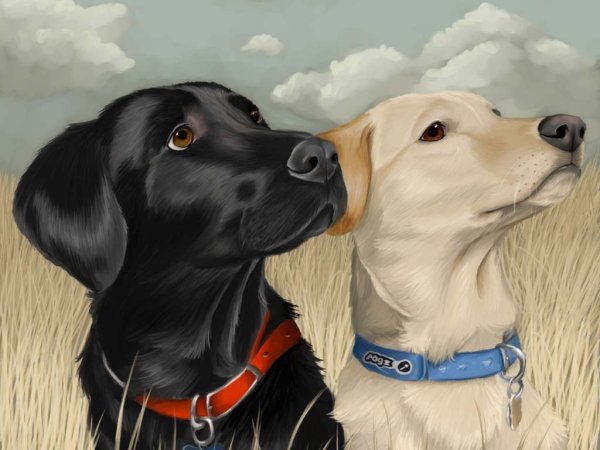 Собака иллюстрация