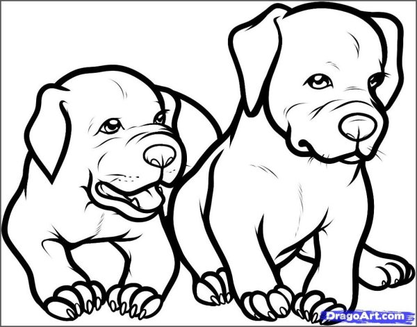 Рисунок собаки для срисовки