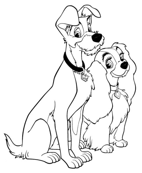 Раскраски леди и Бродяга леди