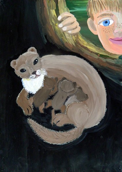 Белогрудка Астафьев иллюстрации