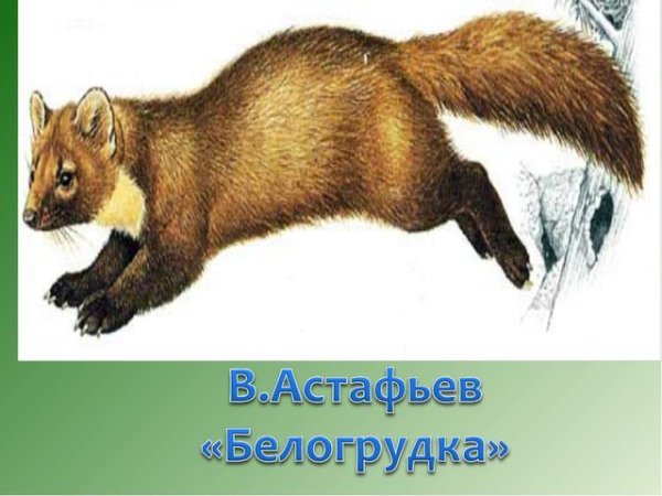 Соболь детский рисунок