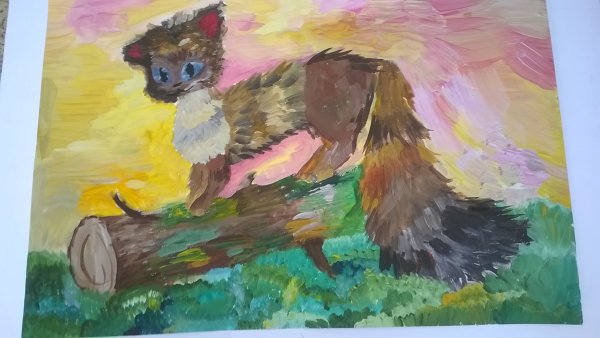 Белогрудка Астафьев