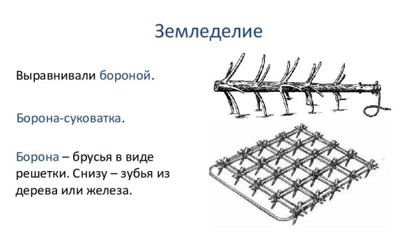 Борона-суковатка это в древней Руси