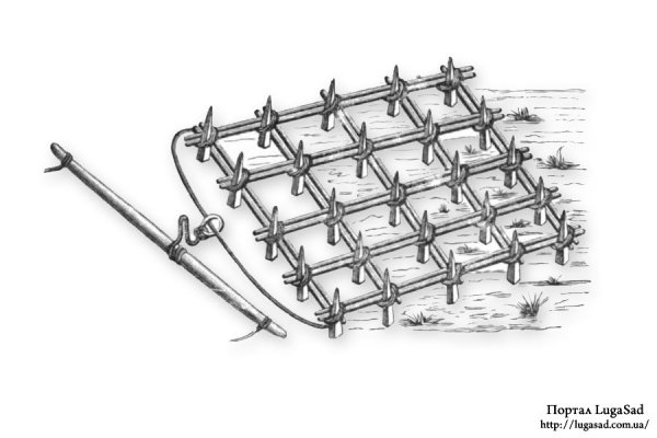 Борона в древней Руси