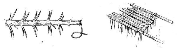Восточные славяне борона суковатка