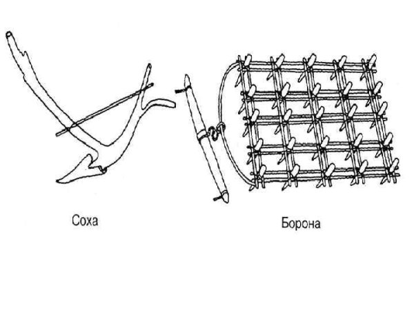 Соха, борона 16 века