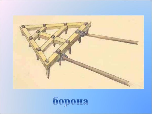 Борона 17 век