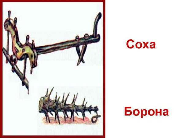 Соха, борона 16 века