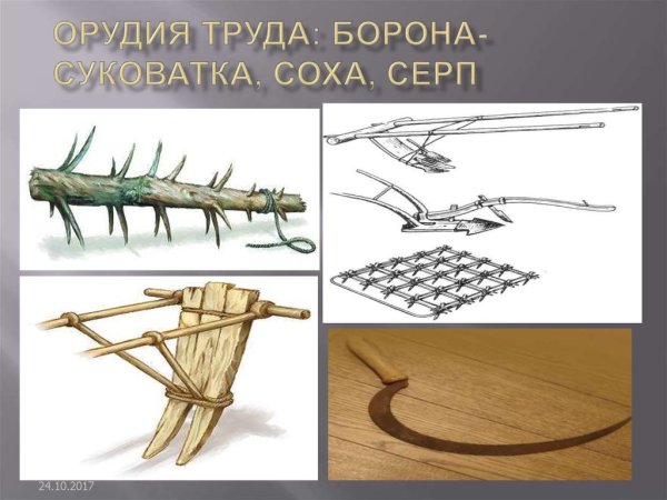 Восточные славяне борона суковатка