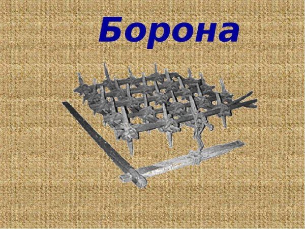 Борона-суковатка это в древней Руси