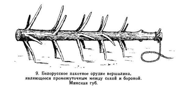 Борона суковатка