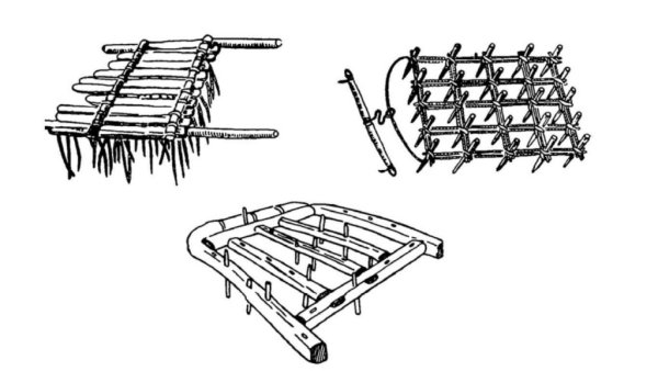 Борона-суковатка древняя