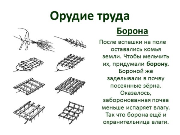 Борона орудие труда древней Руси