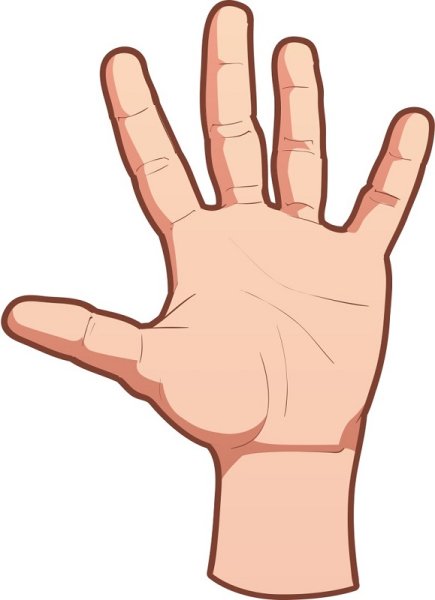 Раскрытая ладонь