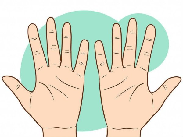 Ладонь рисунок