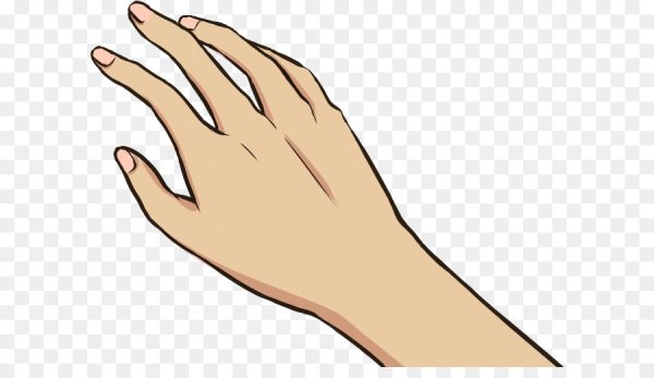 Руки для анимации