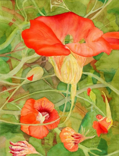 Японская гравюра цветы Конан Танигами