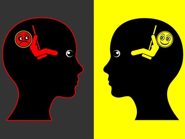 Биполярность картины