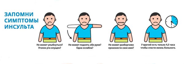 Мозг рисунок