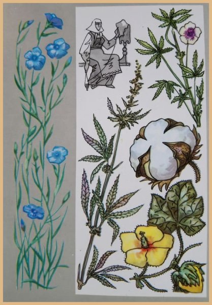 Лен иллюстрация