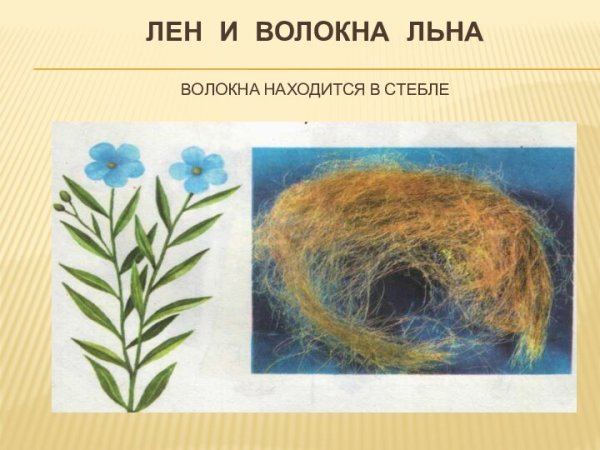 Детям про лён