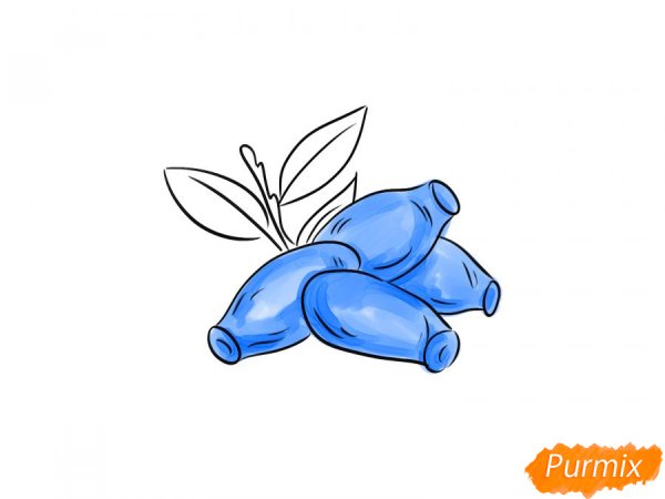 Нарисовать жимолость