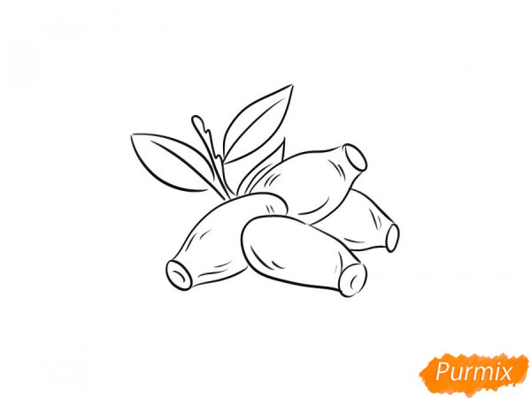 Раскраска ягода жимолость