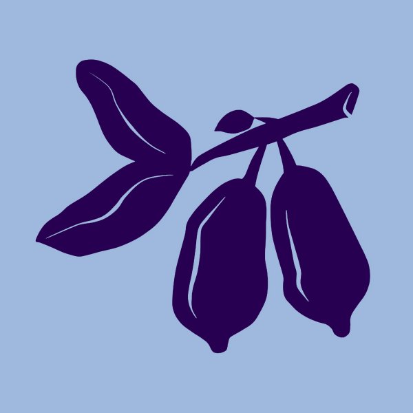 Жимолость Графика