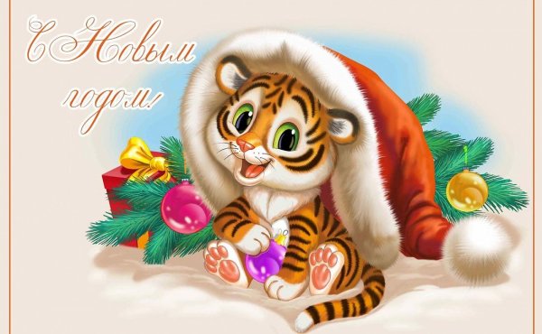 Тигренок рисунок карандашом