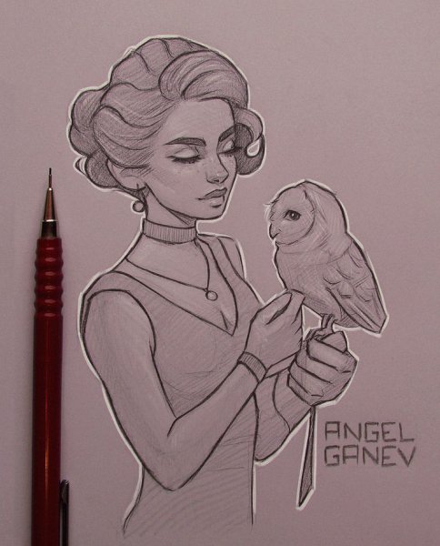 Телка эскиз