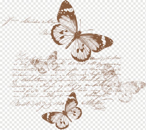 Элементы скрапбукинга на прозрачном фоне