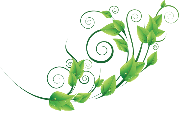 Зеленые завитушки