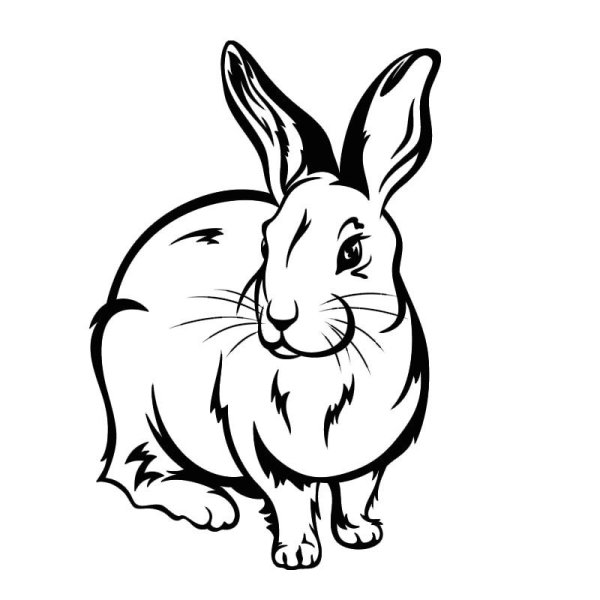 Кролик контур