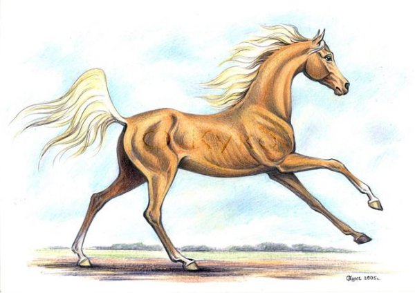 Бегущая лошадь рисунок
