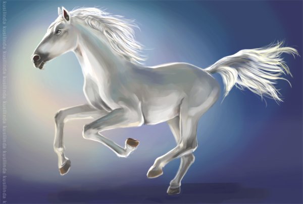 Лошадь бежит арт