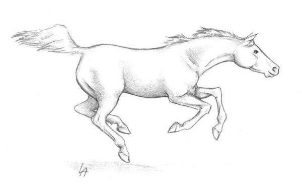 Бегущий конь рисунок
