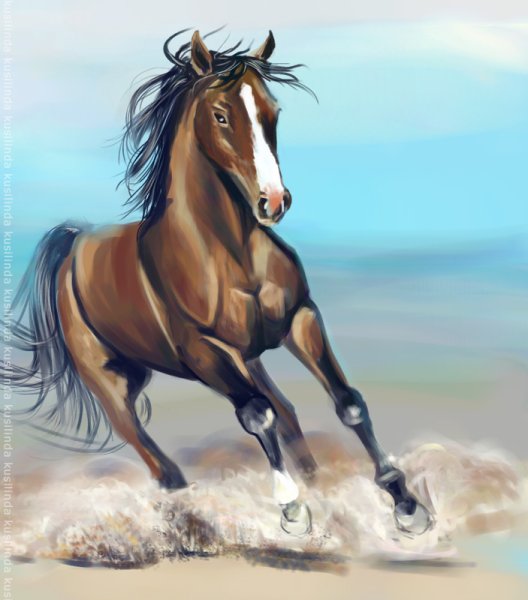 Конь иллюстрация