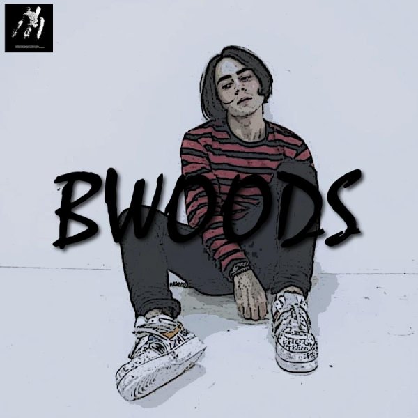 Лизер рисунок