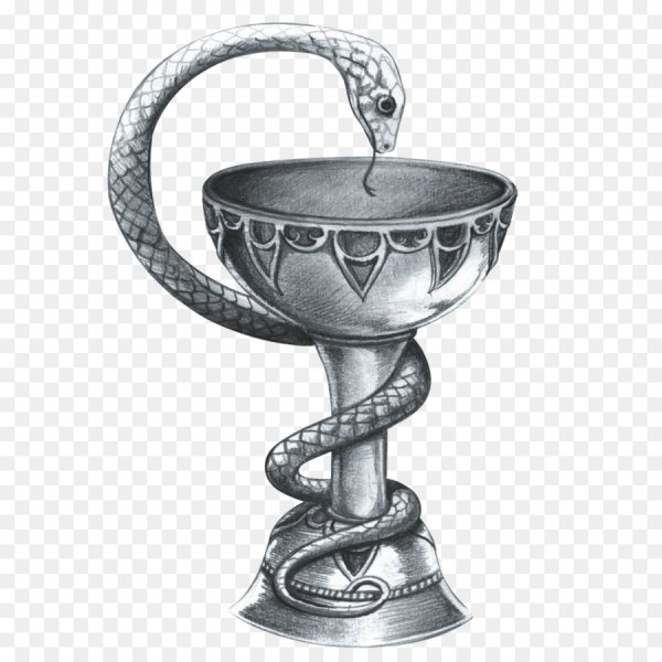 Чаша со змеёй Асклепий символ медицины